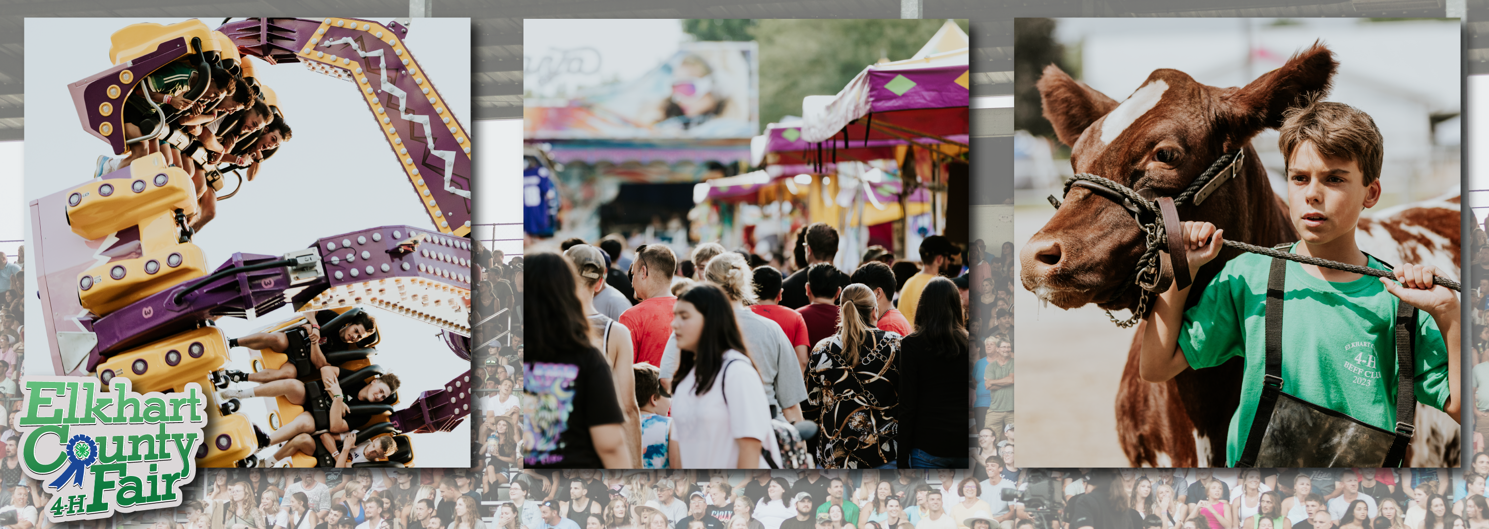 Elkhart County 4-H Fair 2024 | EventHub Showcase